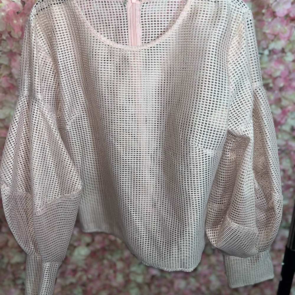 Elegant Pink Mesh Women's Top